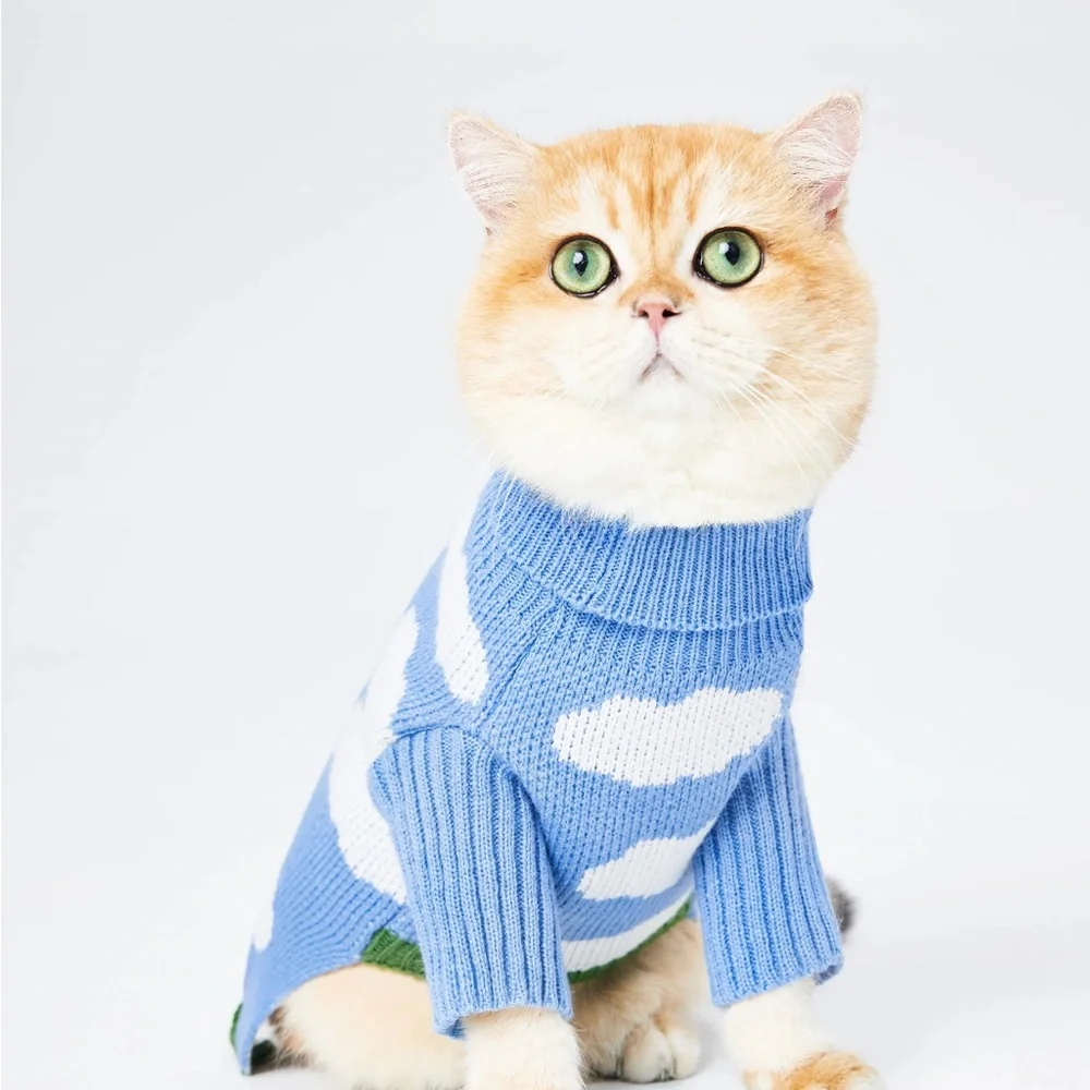 Cider Sky Blue and White Cat Sweater